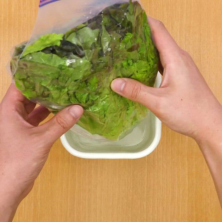 使いきれなかったらどうする？サラダ菜を長く保存する方法は？食・料理オリーブオイルをひとまわし