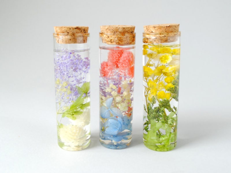 100均アイテムで気軽にチャレンジ！ハーバリウム作りのコツを紹介KATCH キャッチネットワーク