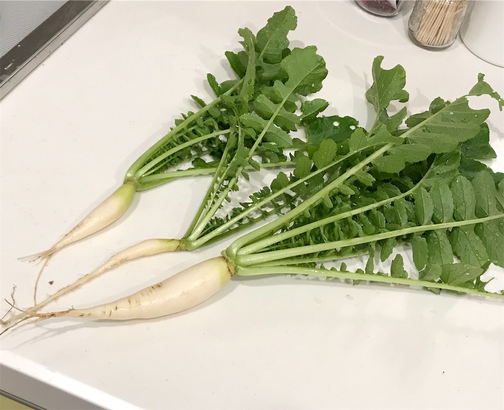 古典会だより－春の七草 スズシロ 清白拝島大師