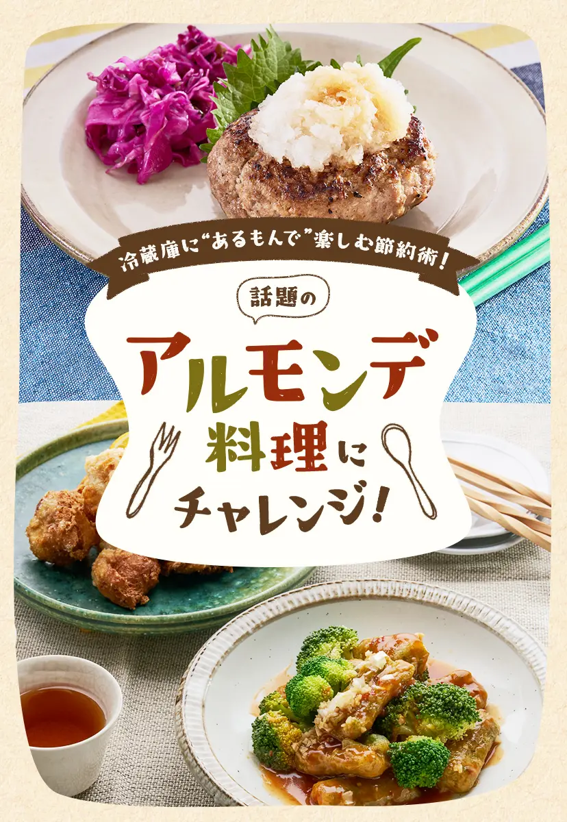 大満足！ DOKINの節約がっつりごはん│宝島社の通販 宝島チャンネル