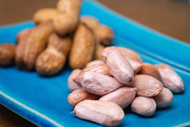 ほくほく甘い生落花生のゆで方をプロが解説。塩ゆでして食べられるのは秋だけ！三越伊勢丹の食メディアFOODIE フーディー