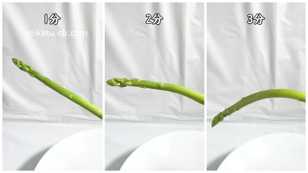 蒸しアスパラのチーズソース