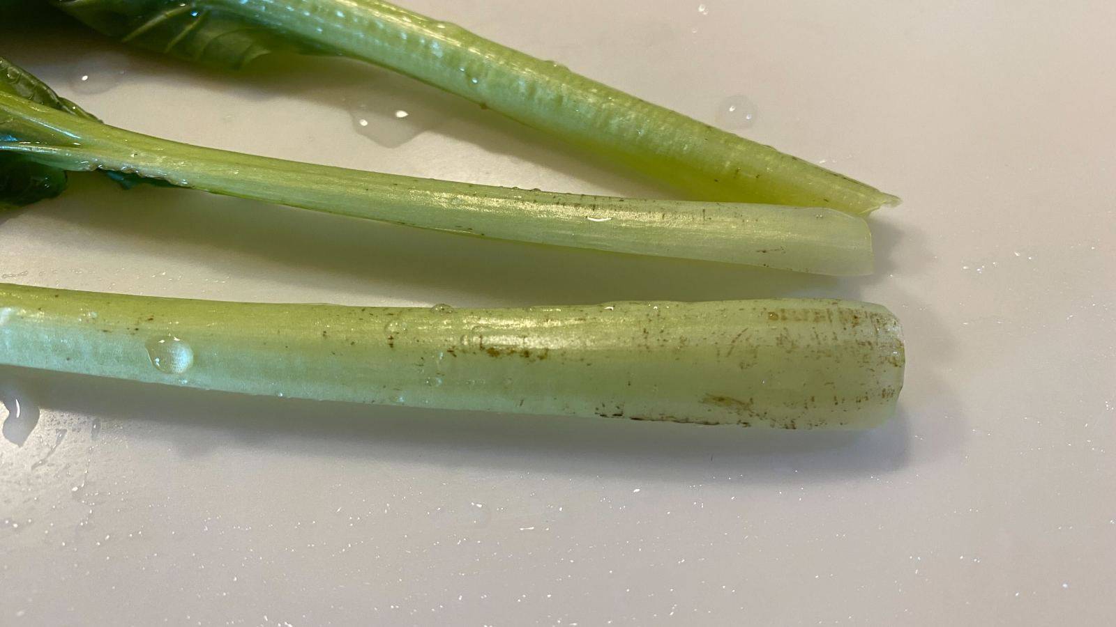 ポパイも大喜び？ 葉と茎と根、それぞれの食感を楽しむほうれん草レシピ