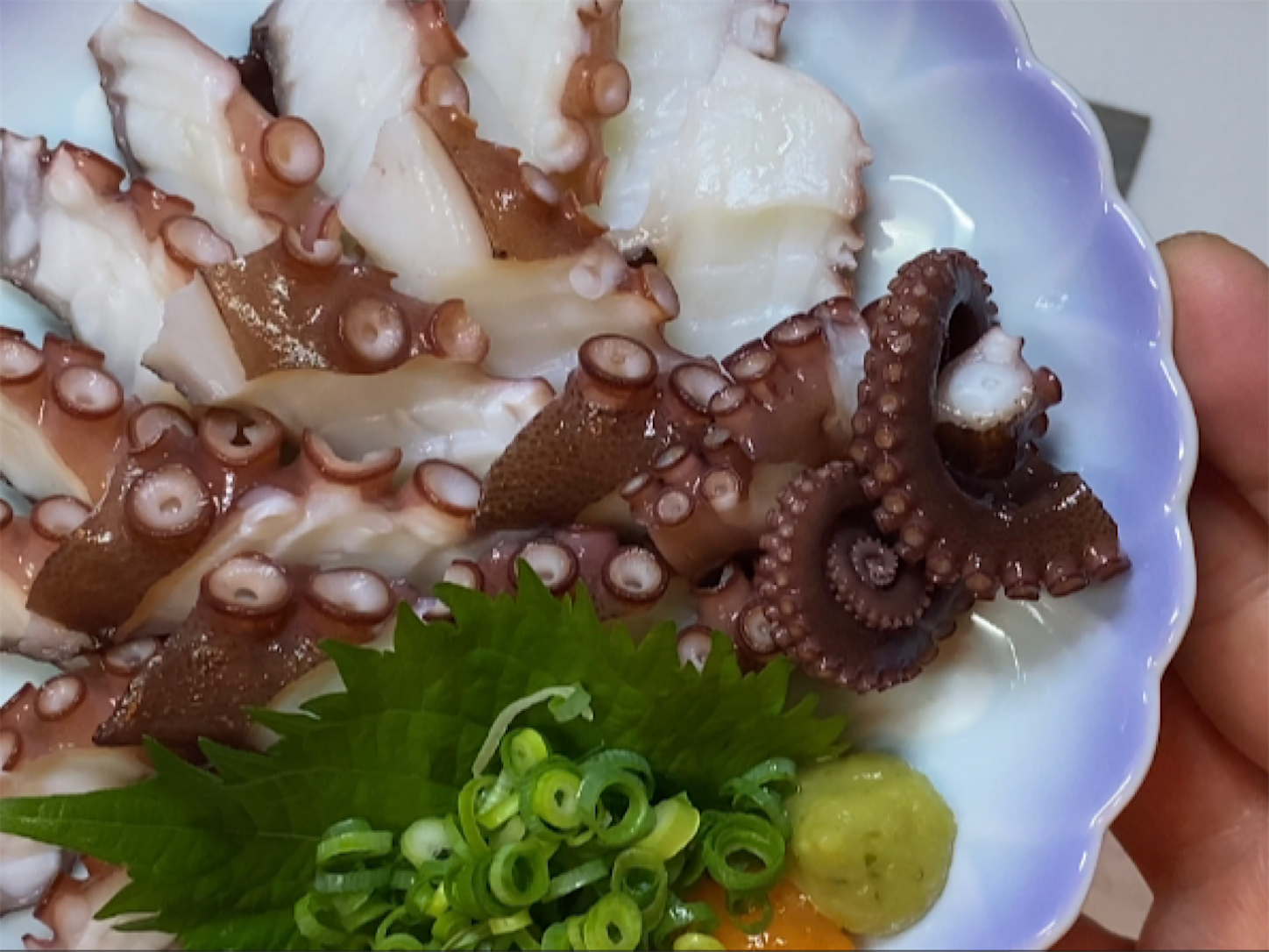 生タコのお刺身 下処理も掲載してます。天草の遊漁船うみてん