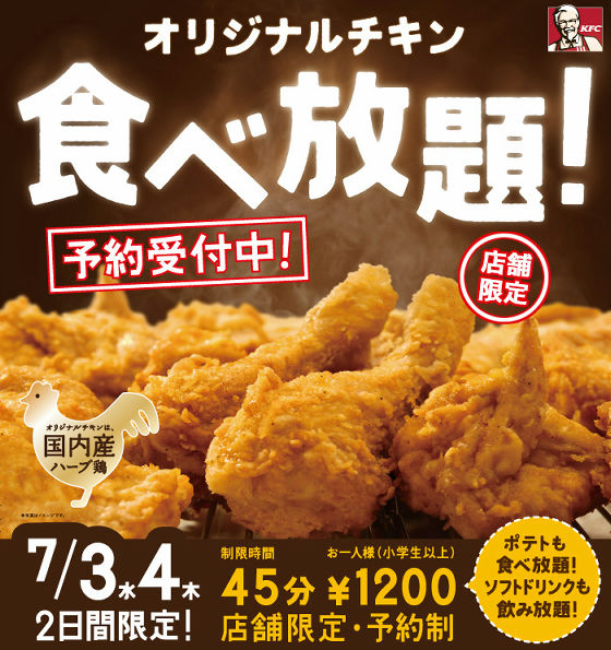 ケンタッキーのおすすめ人気ランキングTOP16 2025年版 お得な買い方も！イチオシichioshi