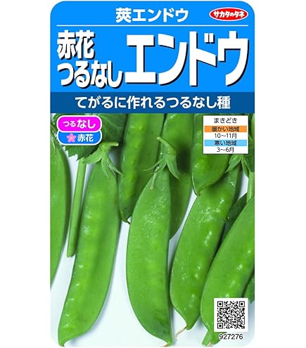 つるなし赤花絹莢 サヤエンドウの種固定種 固定種 在来種に強い 野菜のタネ専門通販サイトアサヒのぐるたね