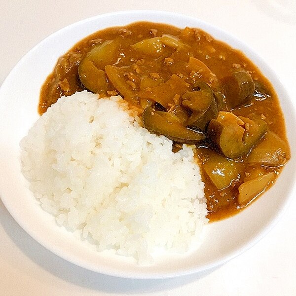 「鶏ひき肉となすの和風だしカレー」レシピ ワタナベマキさん