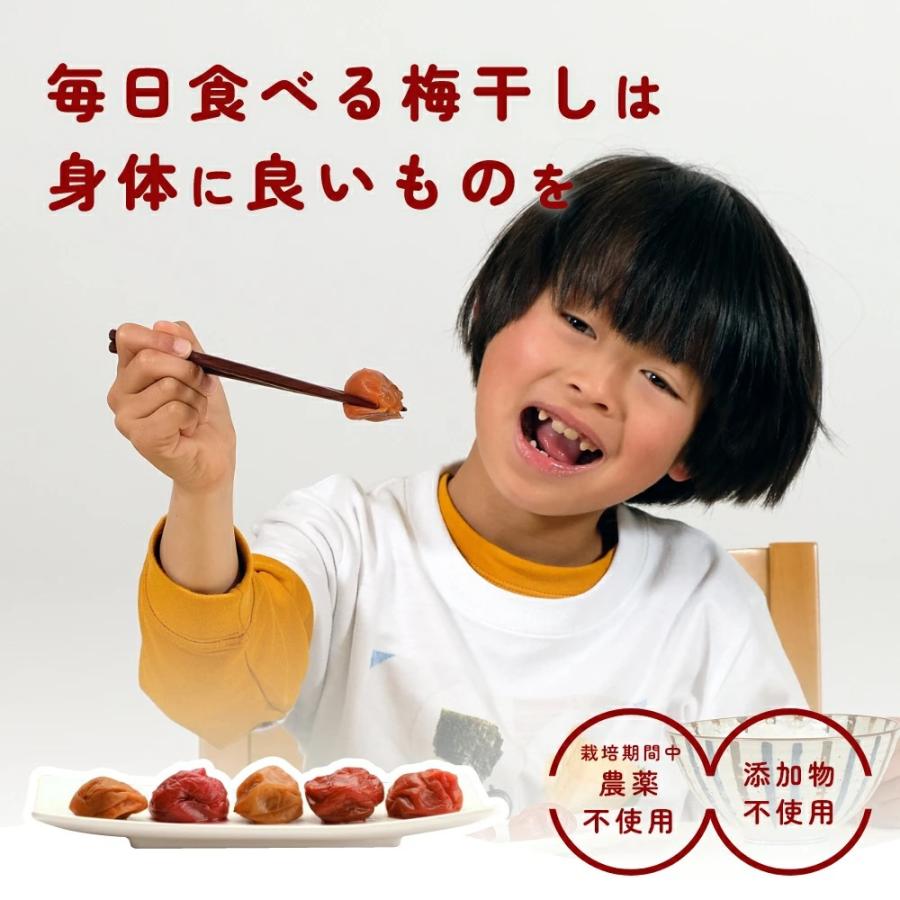 ③約180袋、数量限定! 新物令和7年小梅無添加赤紫蘇梅干し 赤 A級、250g - メルカリ