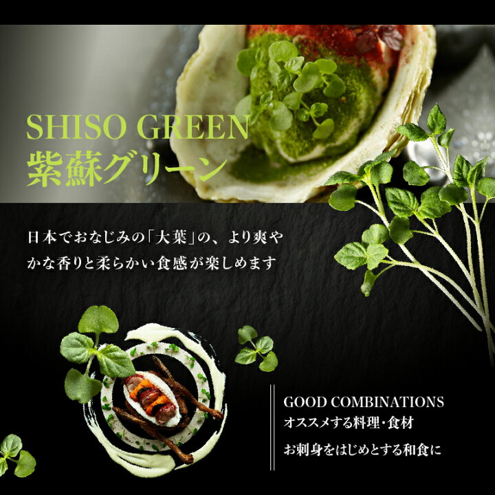 レシピブログ満天☆青空レストラン