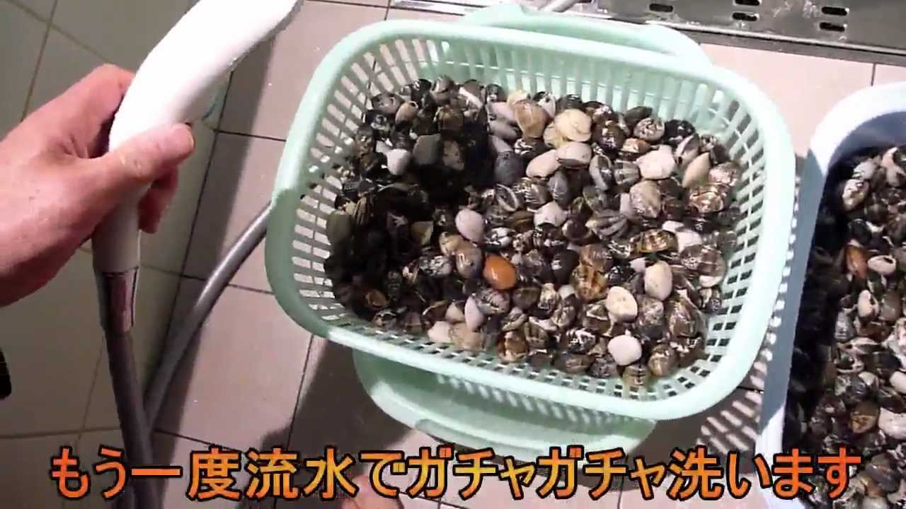 あさりの砂抜きのコツ！簡単にできる時短方法も解説キッコーマンホームクッキング