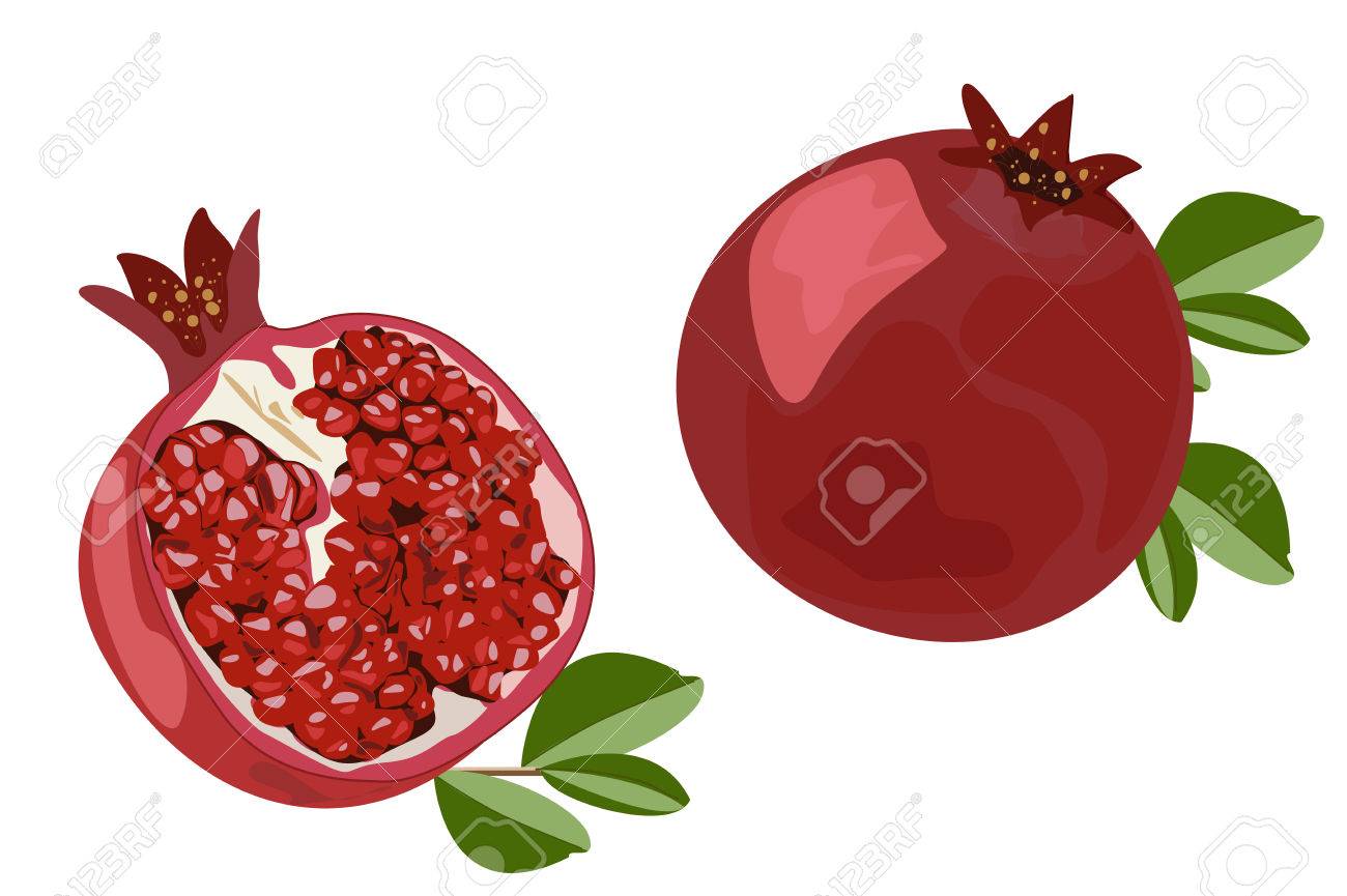 新鮮なザクロの断面図。の写真素材・画像素材 Image 1797058