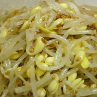 今夜のおかずに決定」「美味しさが伝わります」 シーチキン食堂が教える簡単「無限もやし」が話題！グルメトピックスAll About