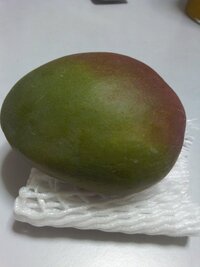 マンゴーの種類と特徴 生産国や保存方法・アレンジレシピも紹介！ - E・レシピ 1 1ページ