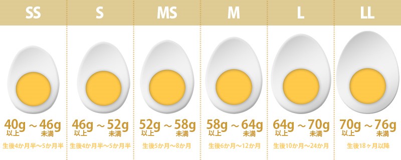 ごまたまご 美味しい！ はかりや