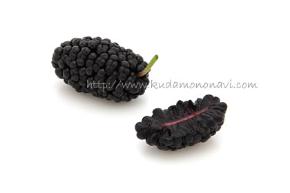 ブルーベリーの旬は？一番美味しいのはいつ？人気の品種ごとにご紹介！産直プライムブログJA連携！産地直送通販なら産直プライム