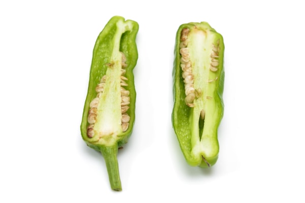 Amazonアタリヤ農園 ガーデニング用品 種 一代交配 ジャンボししとう野菜