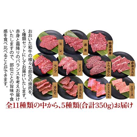 うちホル 国産ホルモン焼肉セット 味付けお肉5種類+焼肉のたれトレナビ