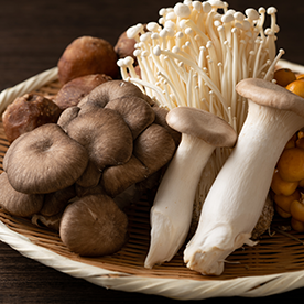 きのこの保存方法 - きのこの保存方法 料理の基礎レシピサイトNadia