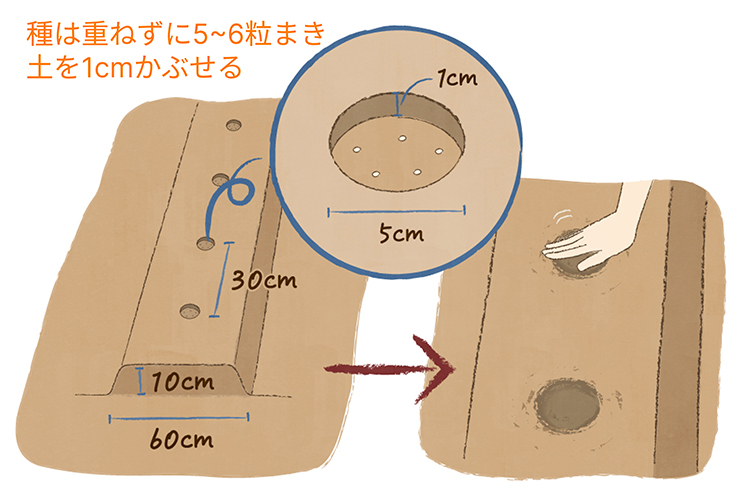 葉ネギ 九条ネギ の栽培方法！種や苗の育て方は？HORTI by GreenSnap