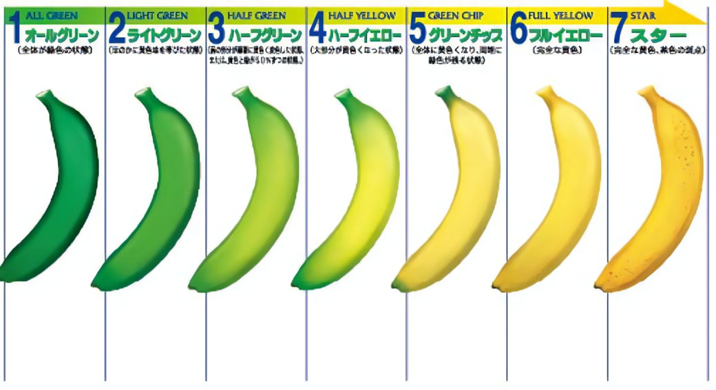 料理の基本！ バナナの保存方法