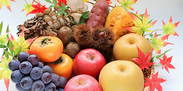 11月果物 フルーツ