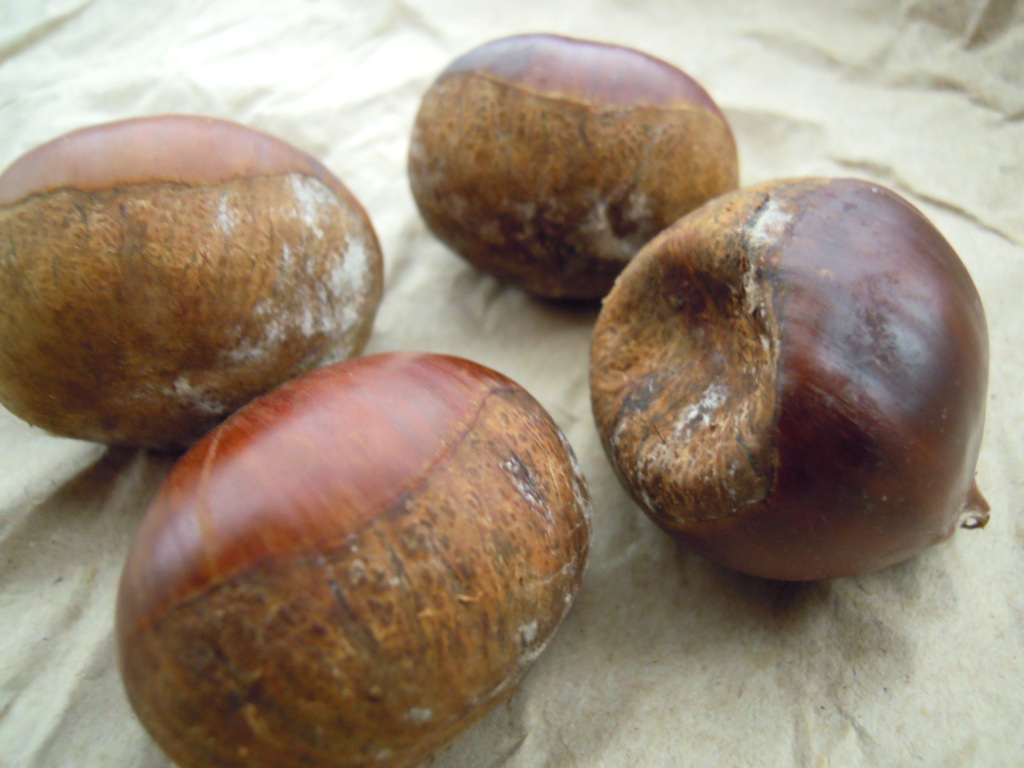 KURAKA -蔵菓- 栗奈良県のリキュールクラフト酒・日本酒の通販ならKURAND クランド