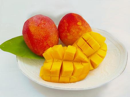 マンゴーの無料写真素材 フリ