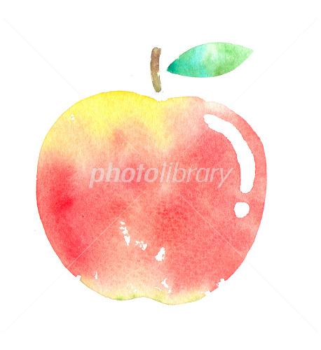 290,149+以上の無料林檎画像