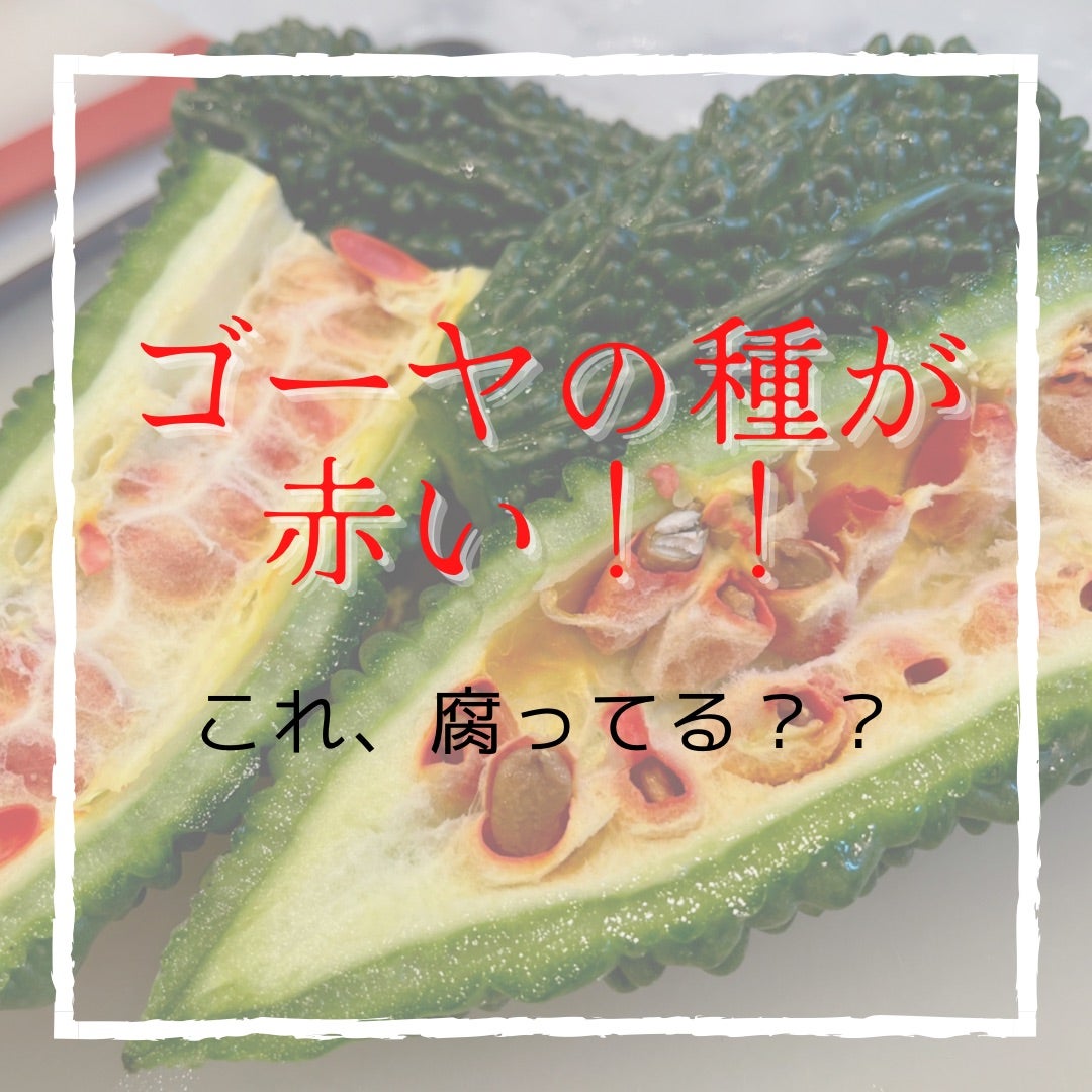 ゴーヤの中から赤い種？味や食べ方を解説！クラシル