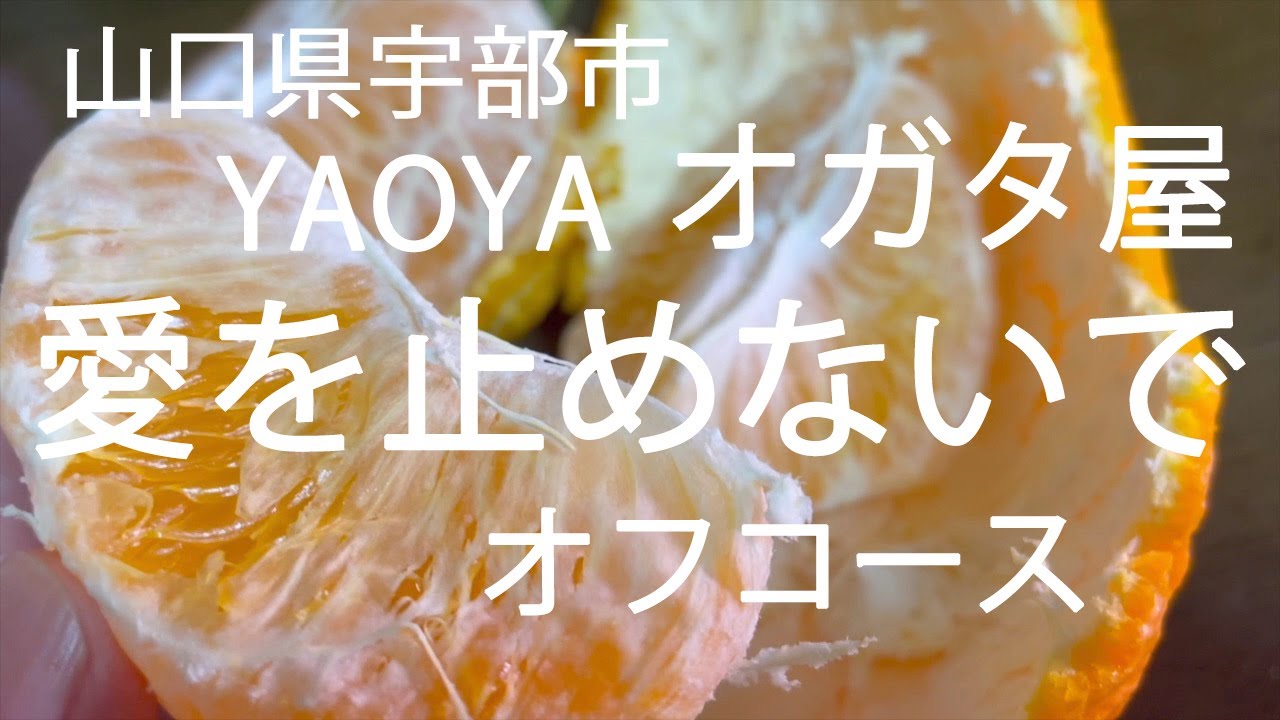 果子乃季 宇部ファーム店 食の周遊マガジン掲載- 山口カレンダ