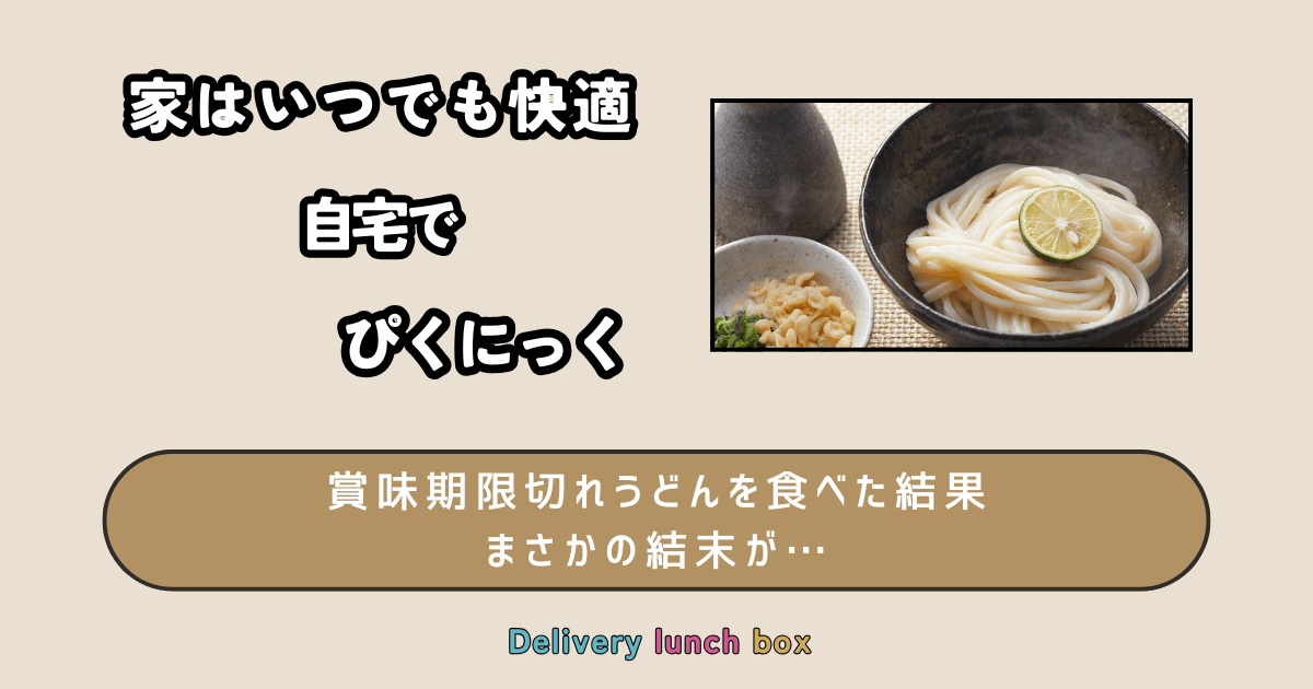 極旨！一晩熟成半生さぬきうどん 300g×10袋、つゆ20袋 F5J-163香川県琴平町セゾンのふるさと納税