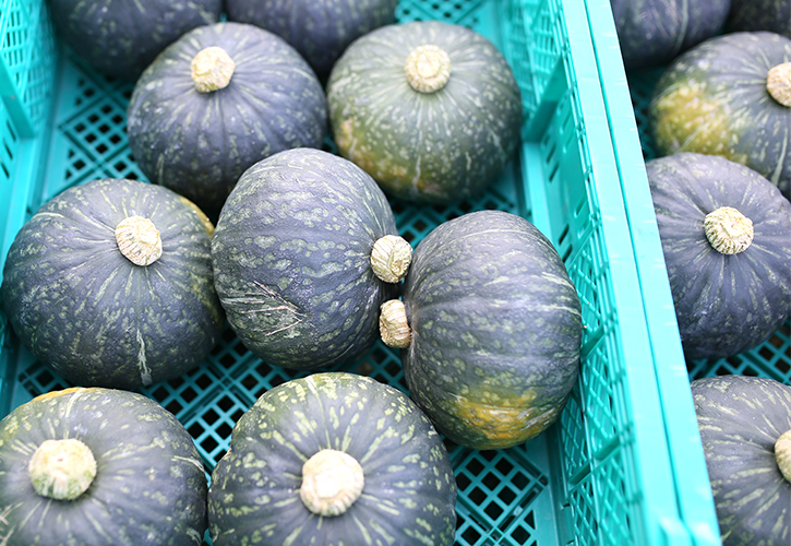 種類いろいろ！かぼちゃの品種とレシピをご紹介デリッシュキッチン