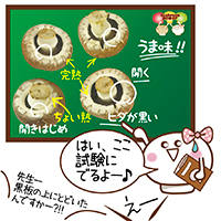 ブラウンマッシュルームが黒い！食べられる？腐敗との見分け方下ごしらえ.com