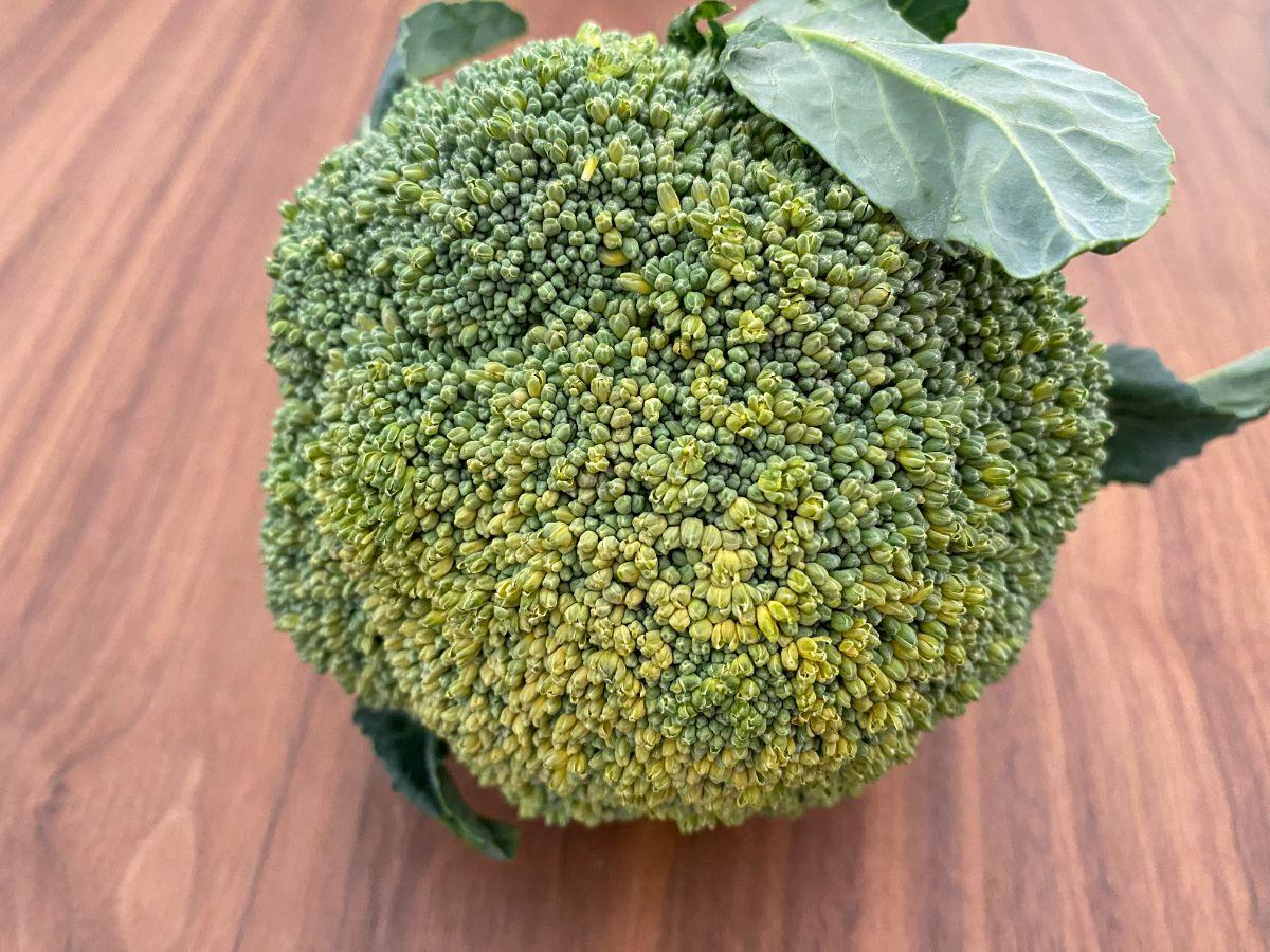 ブロッコリーとさつまいもの炒めサラダ しをんSnapdish スナップディッシュID:5Cinaa