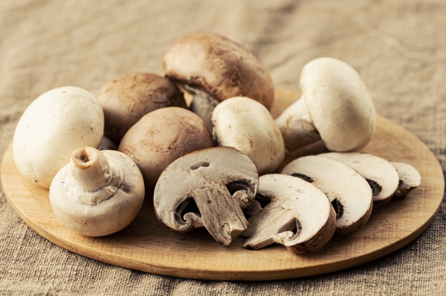 マッシュルームの裏側ってらぐりのウフフ箱