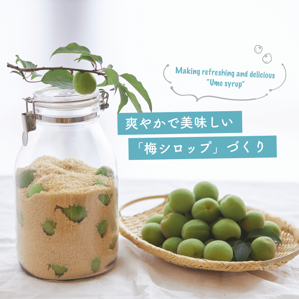 梅仕事2025 やっぱりリンゴ酢＋きび砂糖が好き。LEE