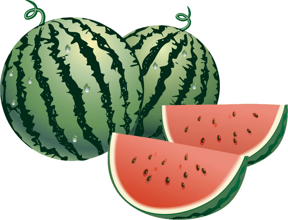 スイカのイラスト リアル218198968 毎月1点無料 フリー のストックフォト イメージマート