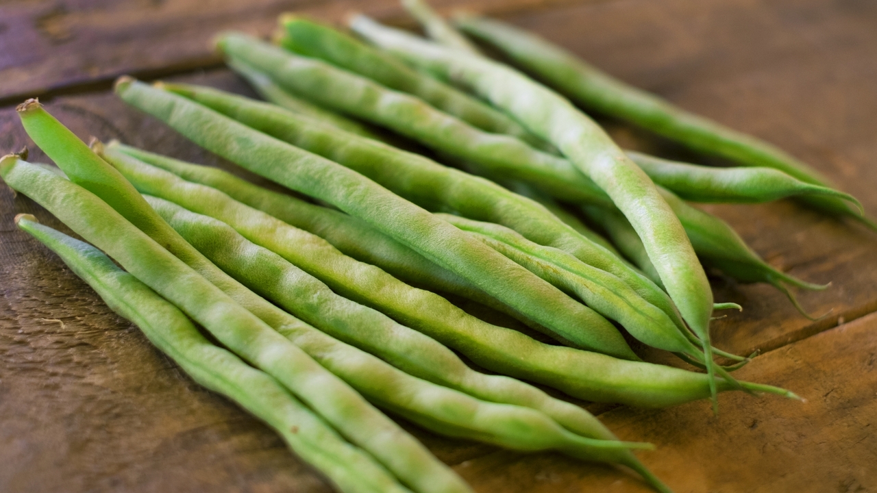 いんげん さやいんげん のゆで方・ゆで時間と保存方法、おすすめレシピ3選もキッコーマンホームクッキング