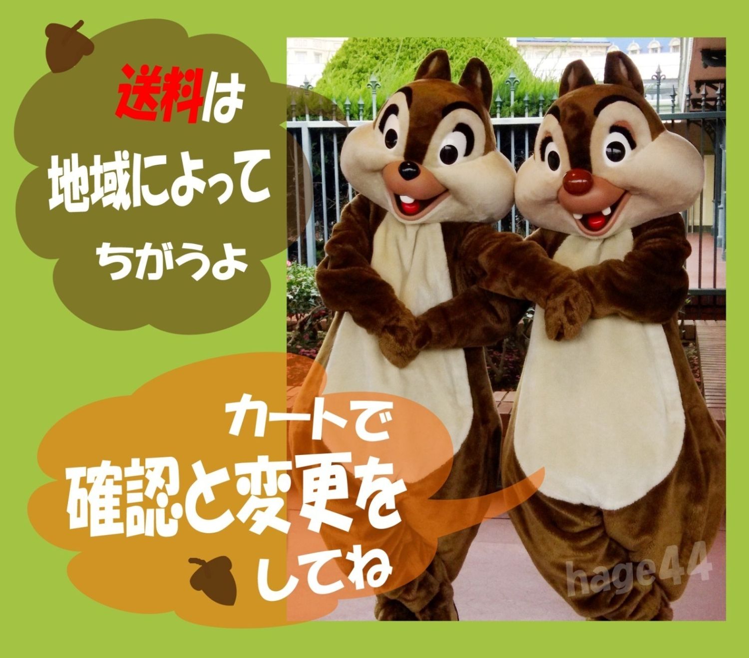 ディズニー カントリーベアシアター プレート 新品未使用 トレー おぼん