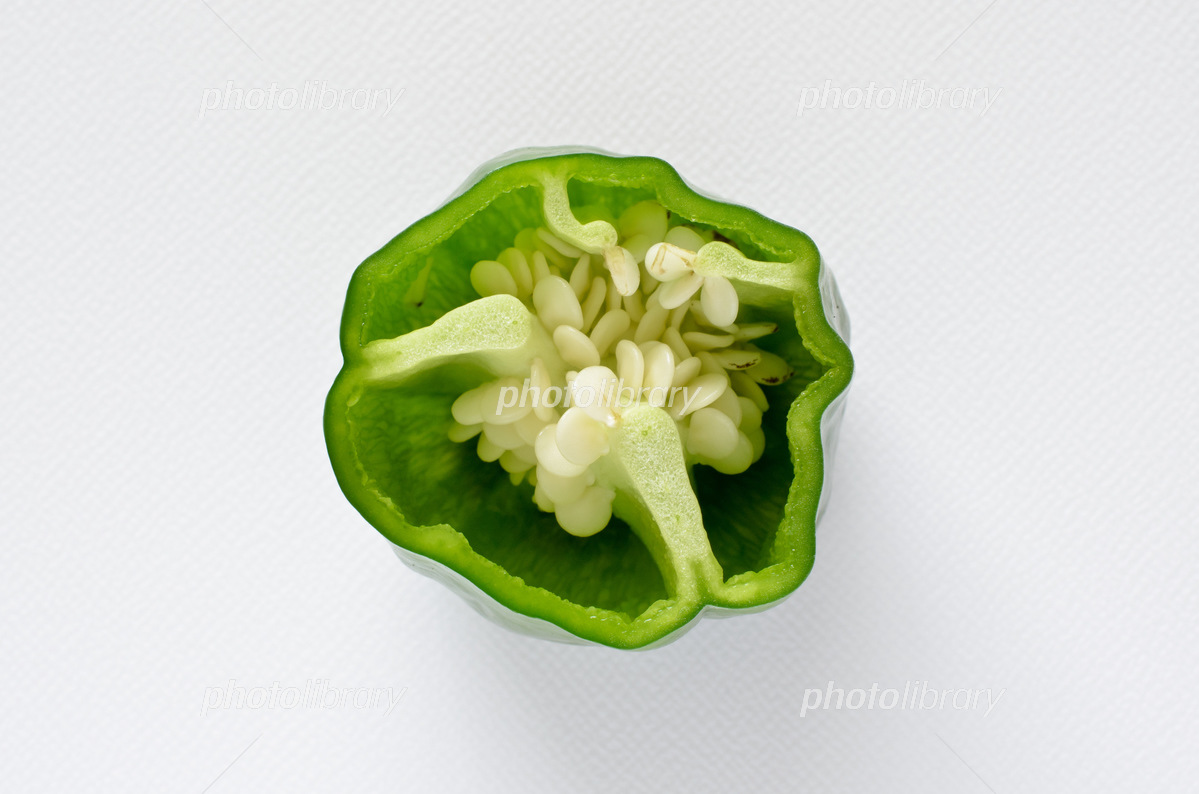 野菜と果物の断面 イラスト素材4889842- フォトライブラリ