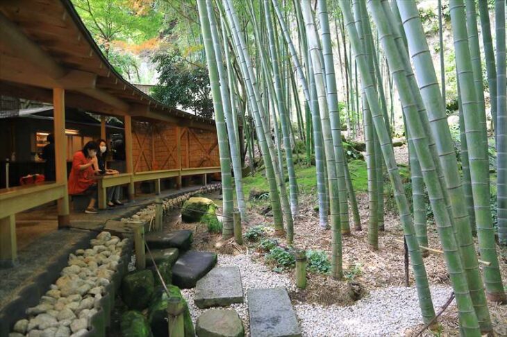 美しい寺・庭園で抹茶を。竹林・枯山水・紅葉・名建築を堪能 - 鎌倉・逗子 Seasonal Updates