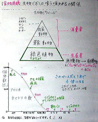 有機物と無機物とは？一覧と違いを解説「白い粉末の見分け方」 - 中1理科ゆみねこの教科書
