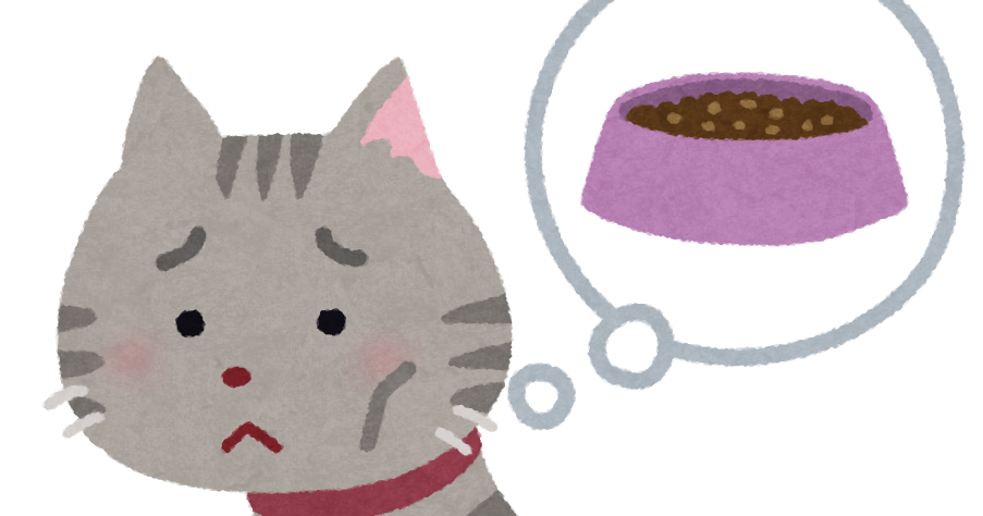 ストレッチで筋トレ効果アップ？E-PLUS フィットネスジム 徳島市国府店