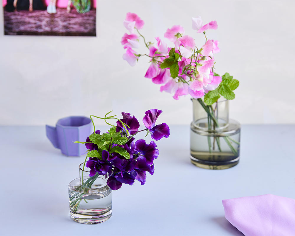 スイートピーの品種 紫系太陽農園宮崎県日南市風田農園直送スイートピー