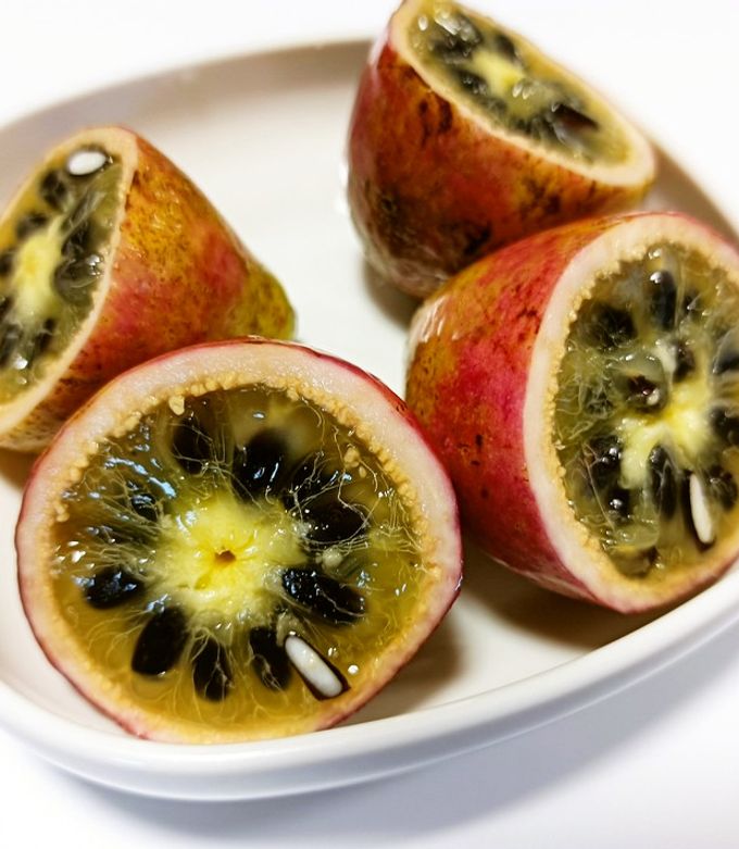 天然のむべの種 10粒 完熟 トキワアケビ 貴重 甘いフルーツ果物 郁子の通販 by うさまる's shop プロフお読みください♪ラクマ