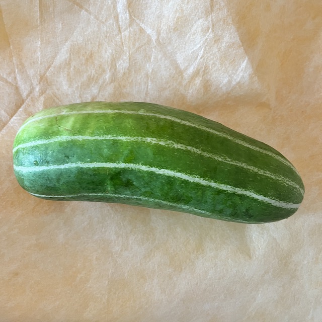 場会篇玉造黒門越瓜物語４「玉造黒門越瓜でつなぐまち」 - 連載コラム CEL 大阪ガスネットワーク株式会社 エネルギー・文化研究所