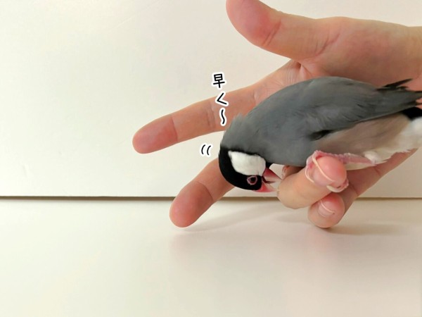 超簡単・チョコペン絞り袋 コルネ の作り方。絵かきMEG♀オフィシャルブログ Powered by Ameba