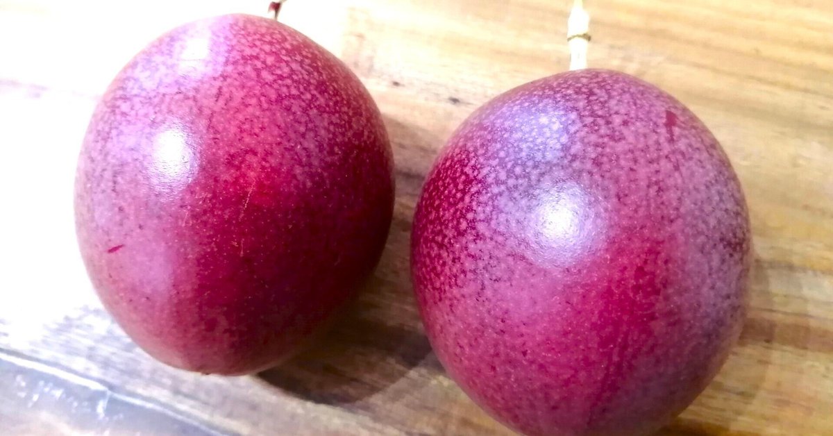 パッションフルーツの冬越し魅惑のパッションフルーツ