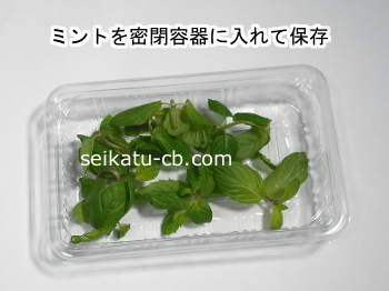 ペパーミントの香りと効果効能とは？自宅で簡単にできる栽培方法や虫よけスプレーの作り方FELICE フェリーチェ