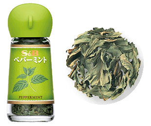 ミントハーブ愛好家必見！種類別ガイド